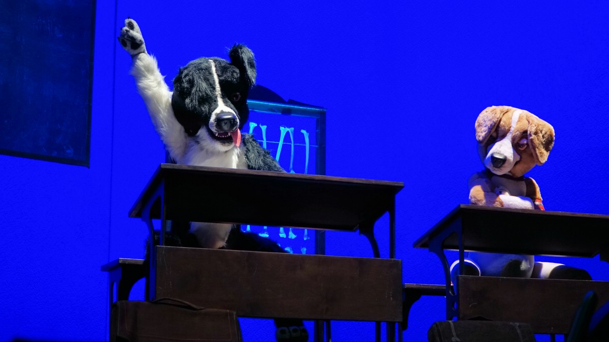O Fotomagazin / Martin Rtter Show nachSITZen 2015